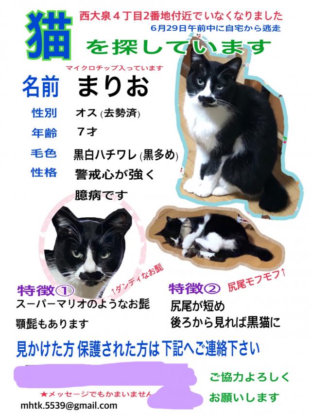 まりお