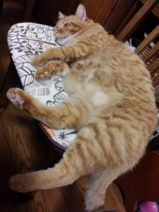 はな