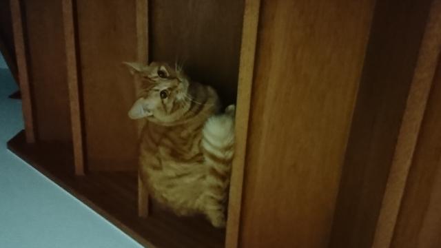 びち