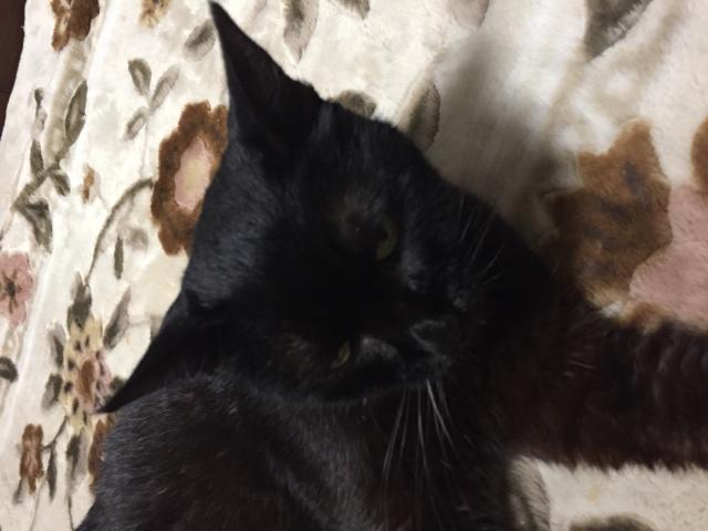 すん