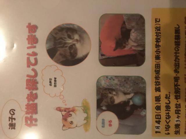 マル