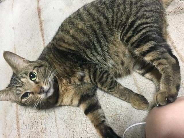 ちー