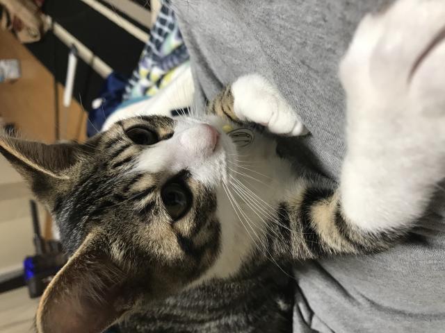 むん
