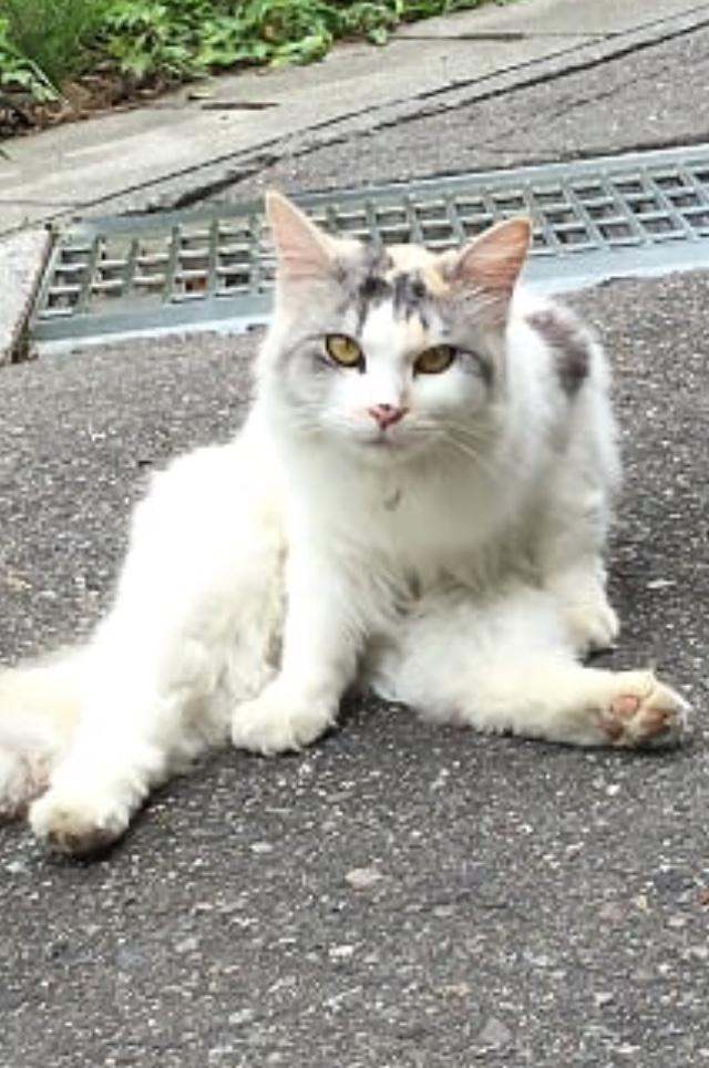 イマ