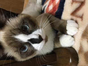 もぐ