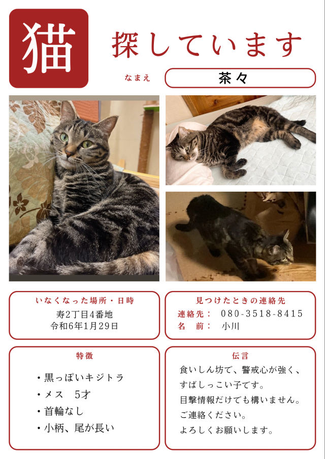 茶々