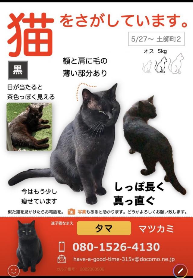 タマ