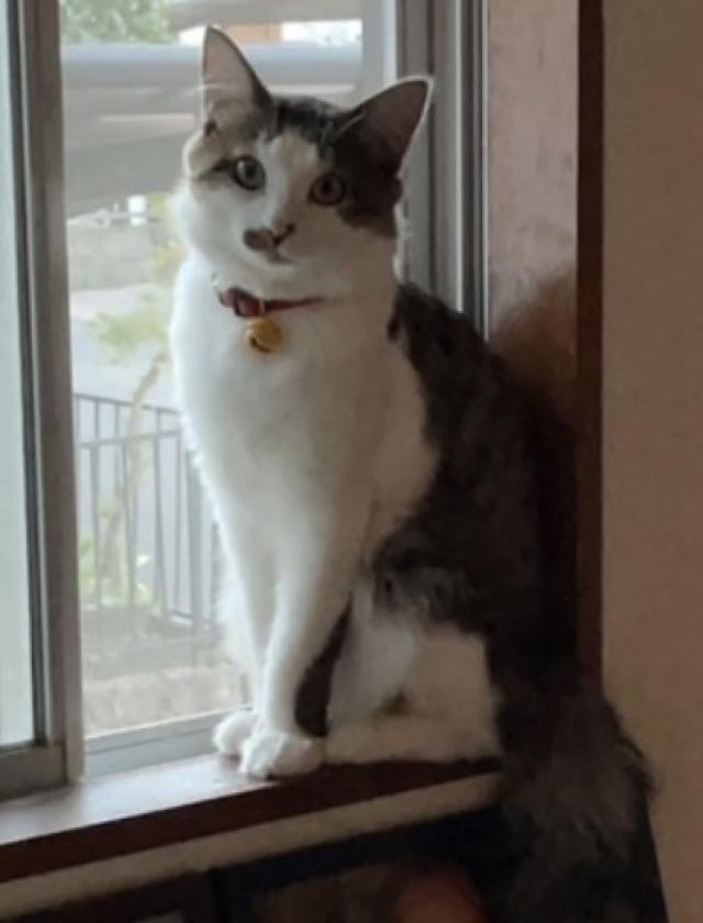 きずな