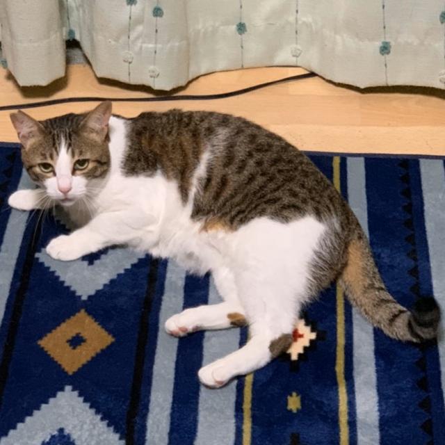 おにぃ