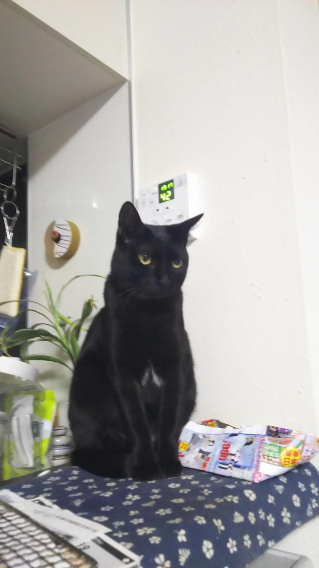 くーちゃん