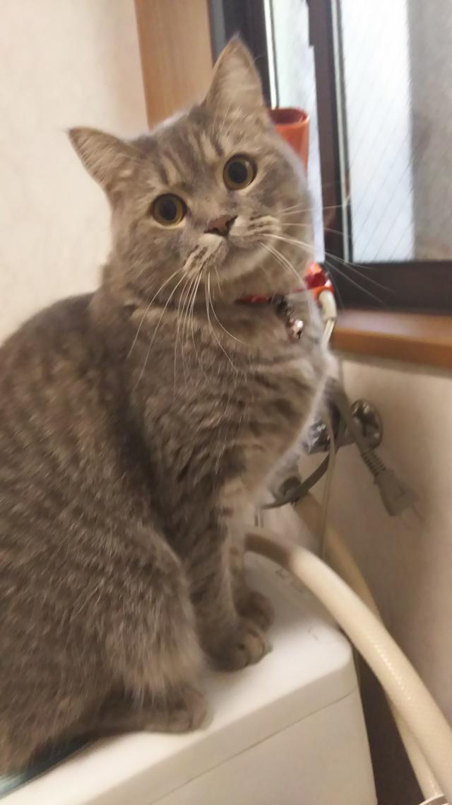 ゆみと