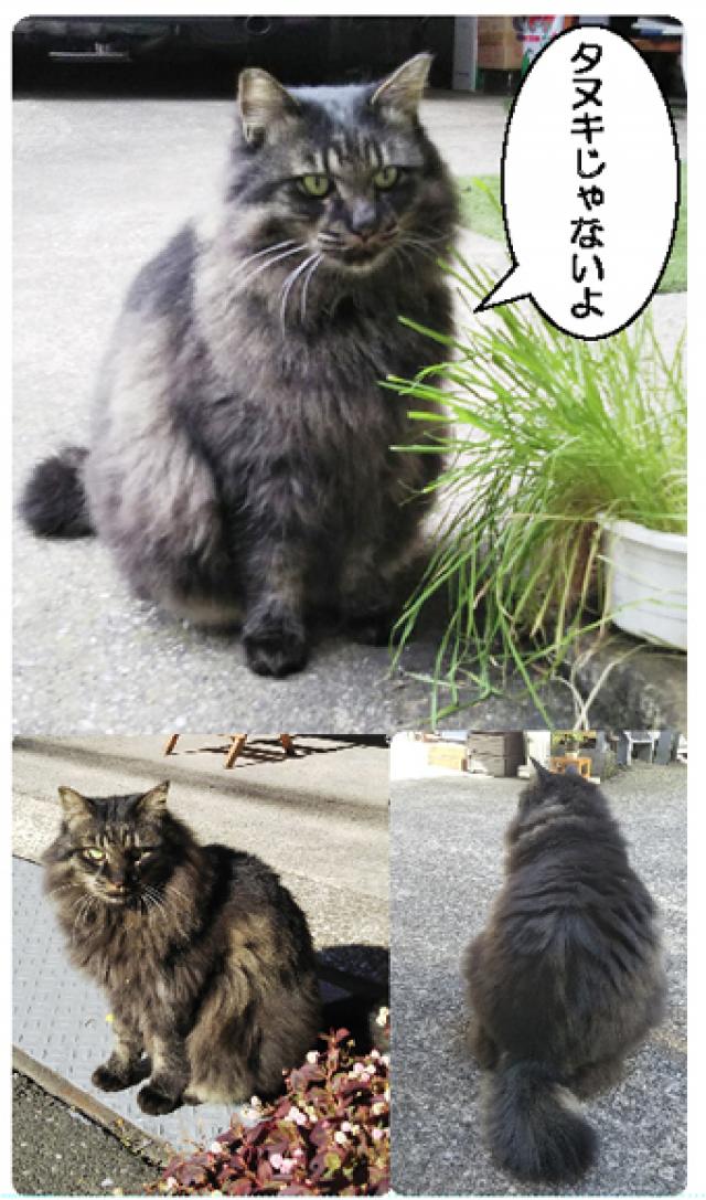 れん（れんれん）