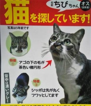 ちび