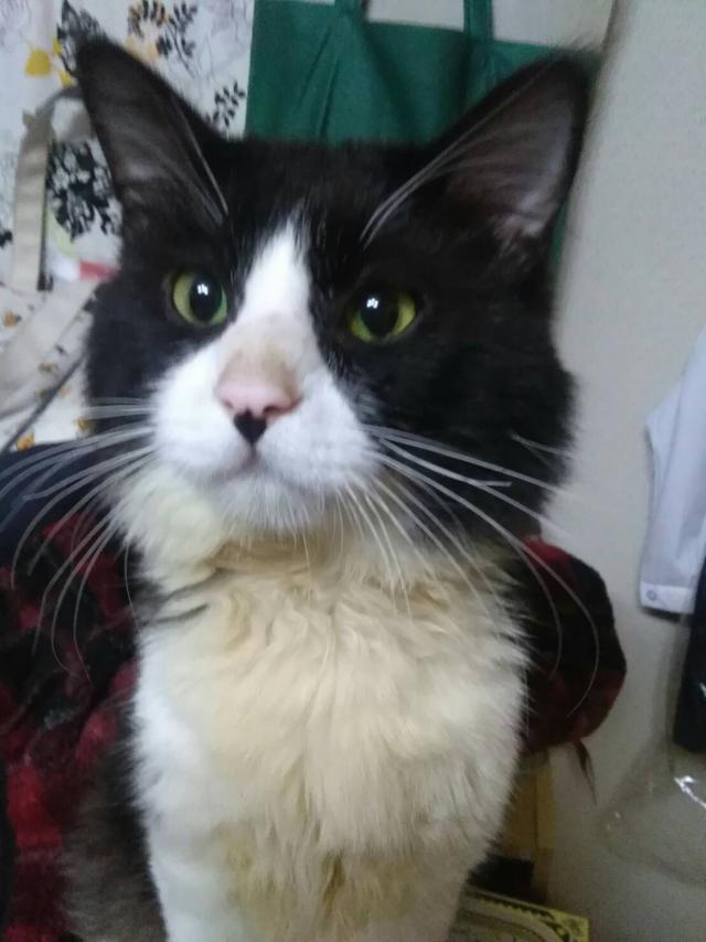 小太郎