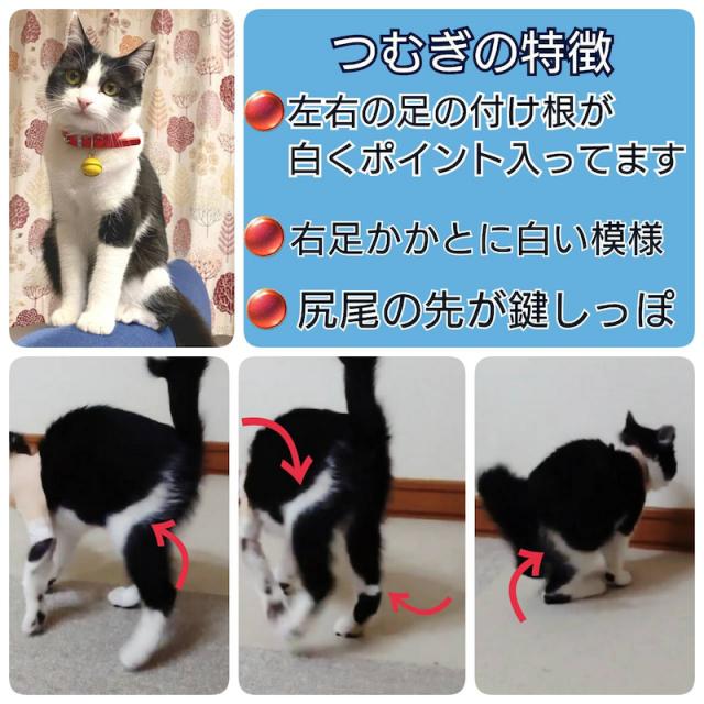 つむぎ