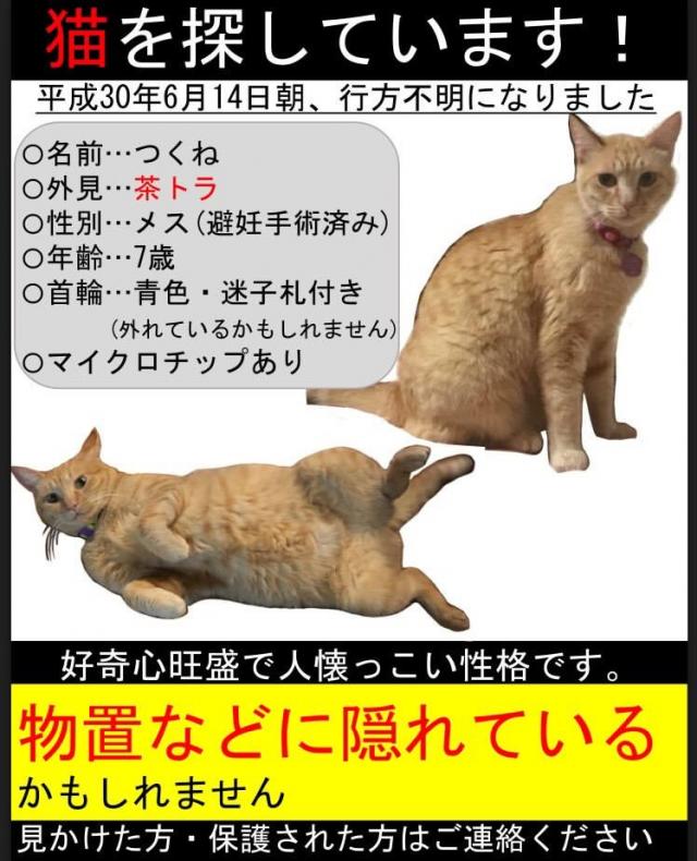 つくね