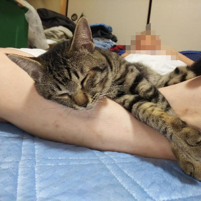 えん