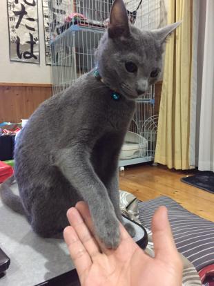 そら