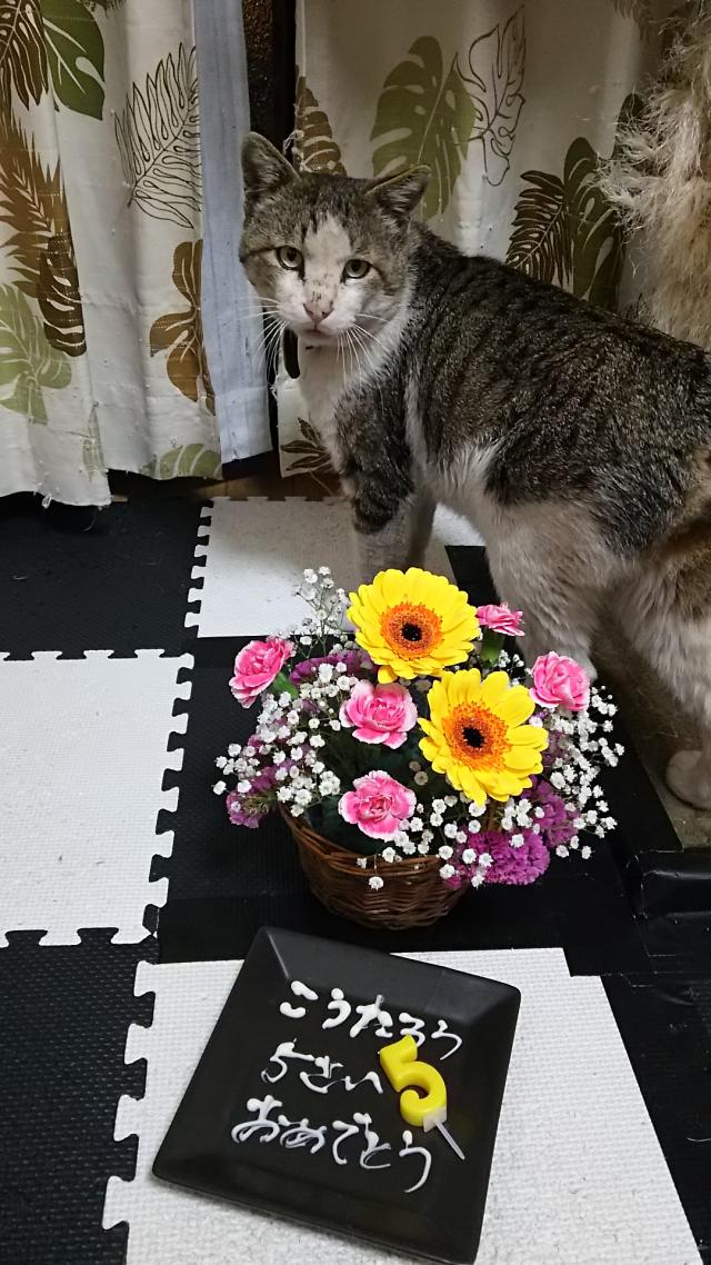 こうたろう