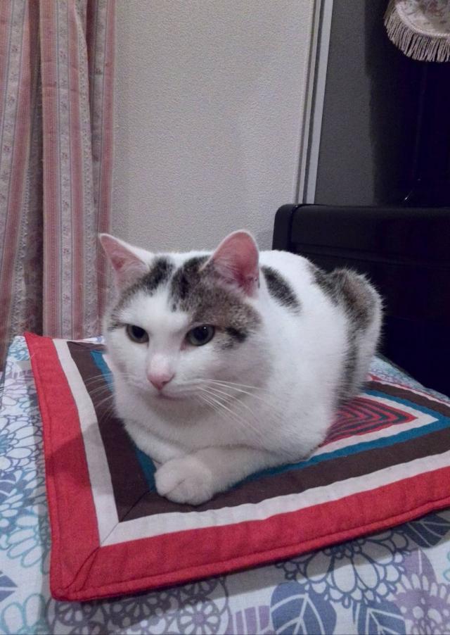 まる
