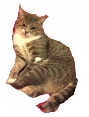 カンロ