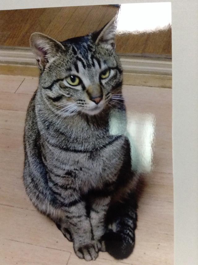 ジュン