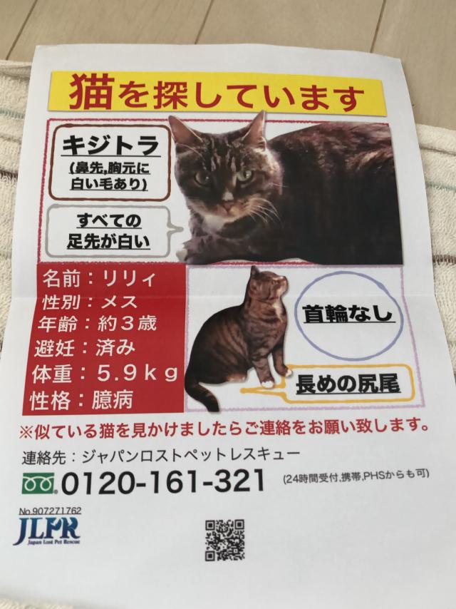 リリィ