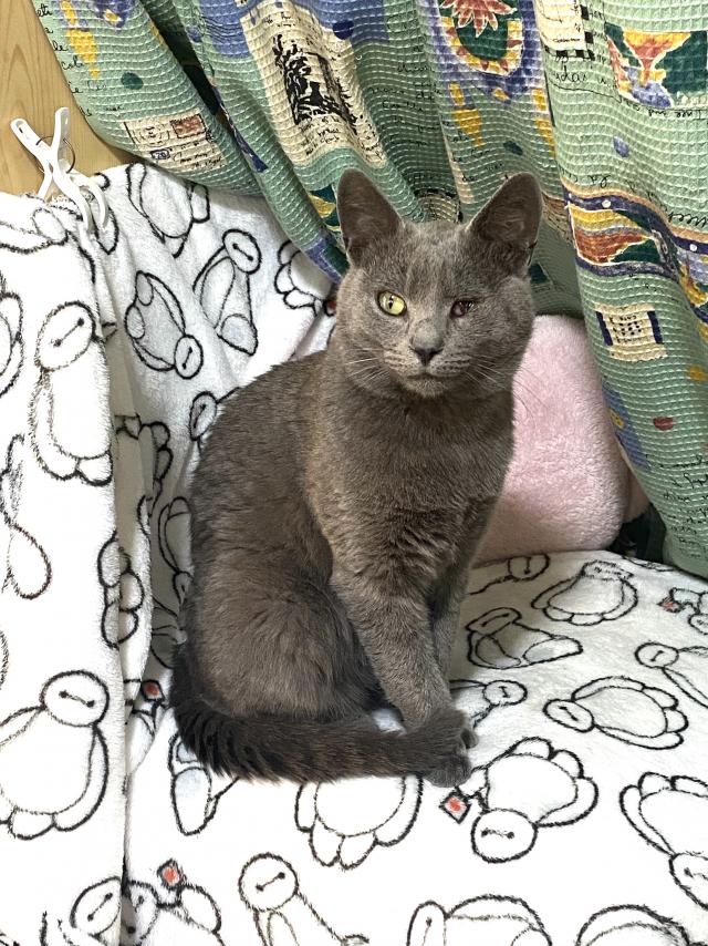 ぐり