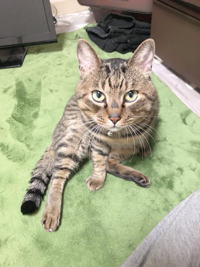 さみゅ