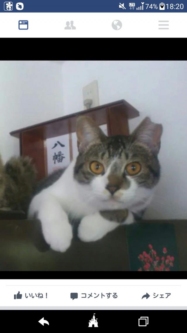 ひーちゃん