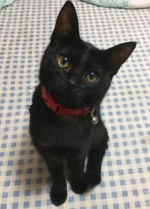 くぅちゃん