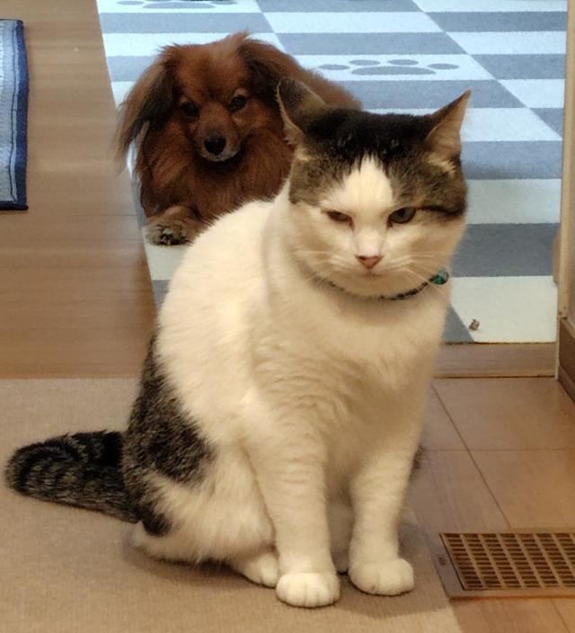 まる