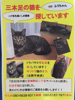 ふうちゃん
