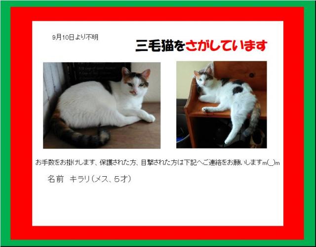 キラリ