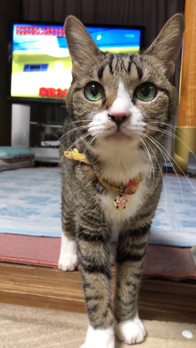なお