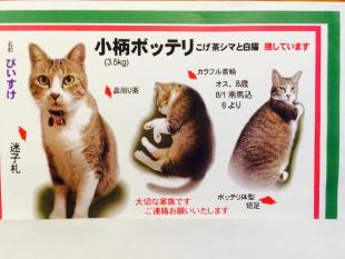 ぴいすけ