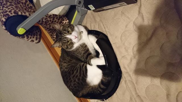 あじる