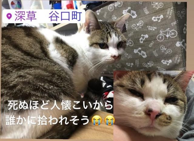 おはぎ