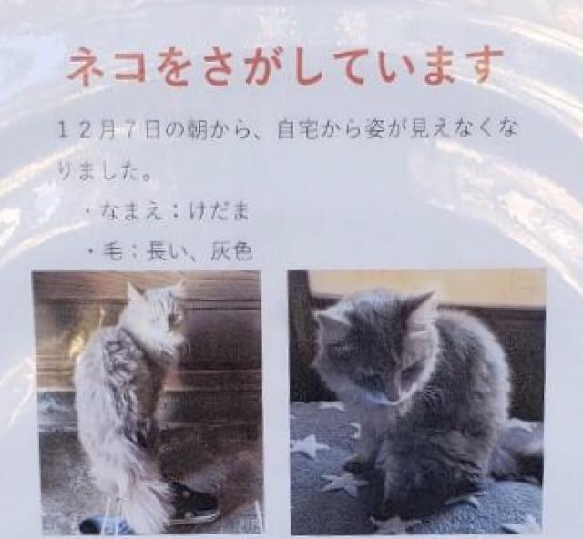 けだま