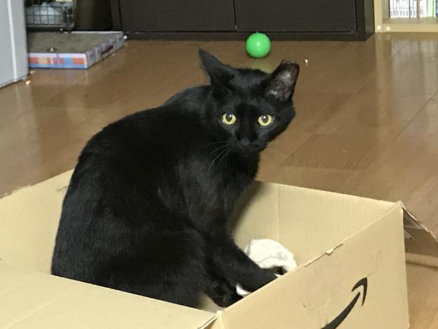 しん