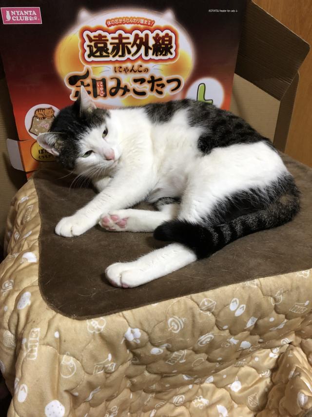 ぱつ