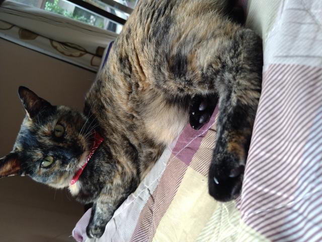 なち