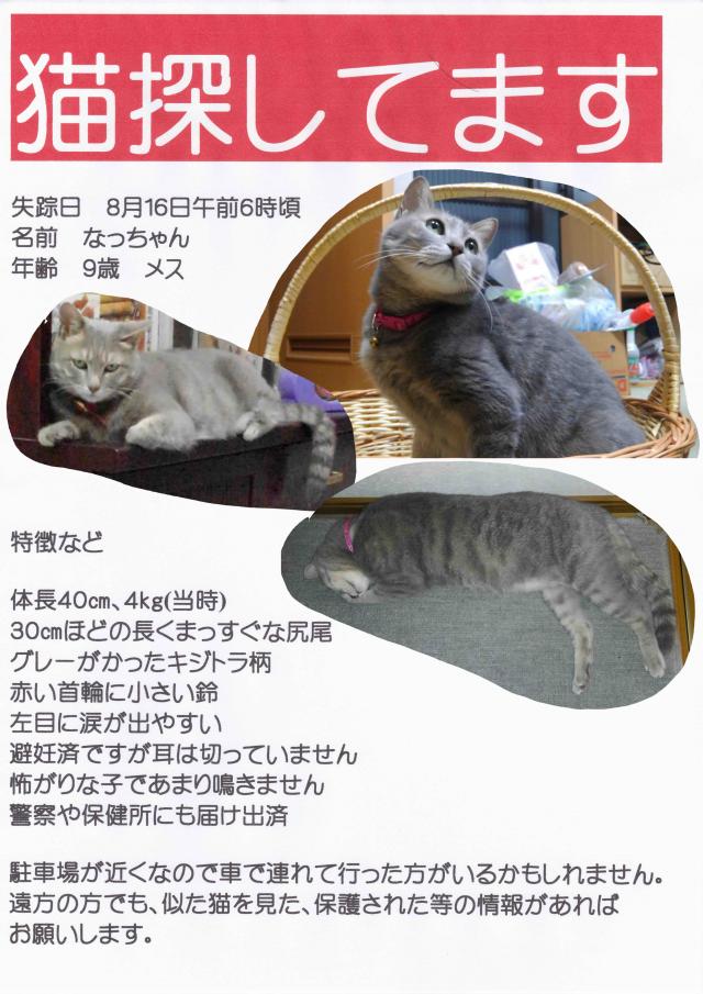 なっちゃん