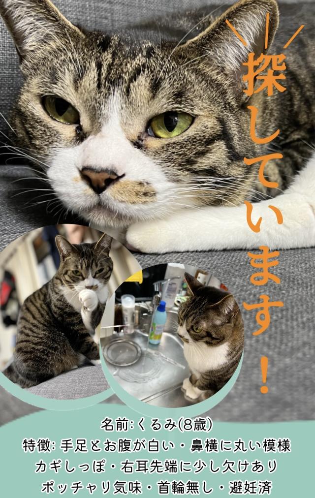 くるみ