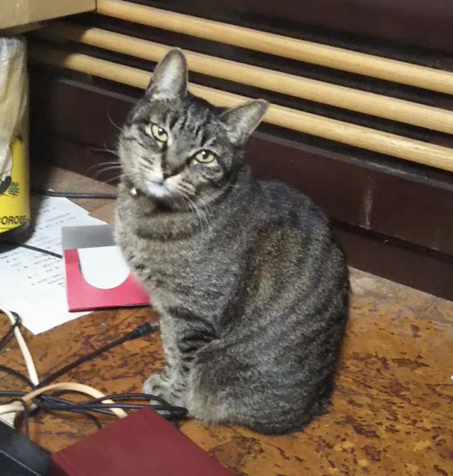 ちびっ子