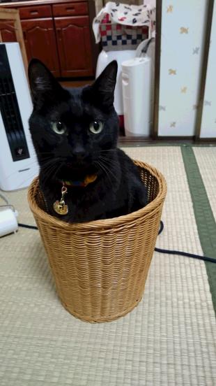 ポー
