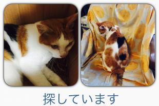 しーちゃん