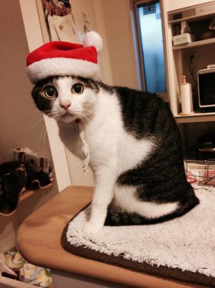 ごろ