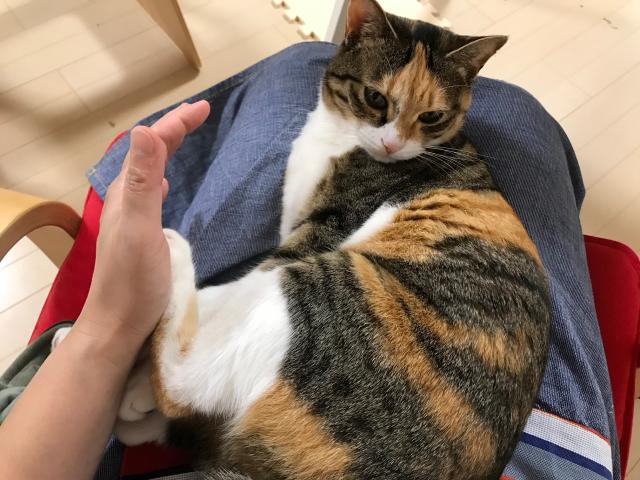 まな