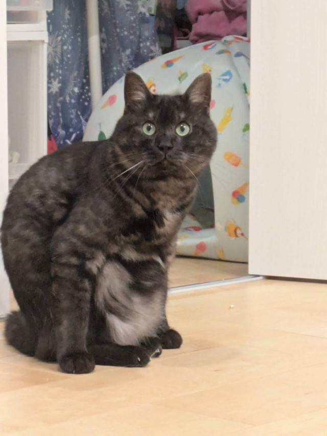 ジョナサン